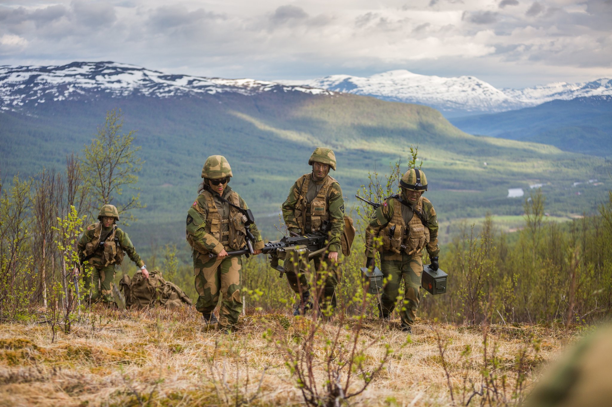 Forsvarets Publikums­undersøkelser - Forsvaret