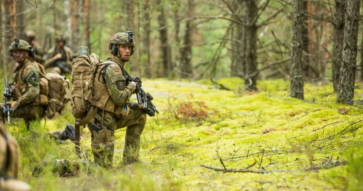 Jobb I Hæren - Forsvaret