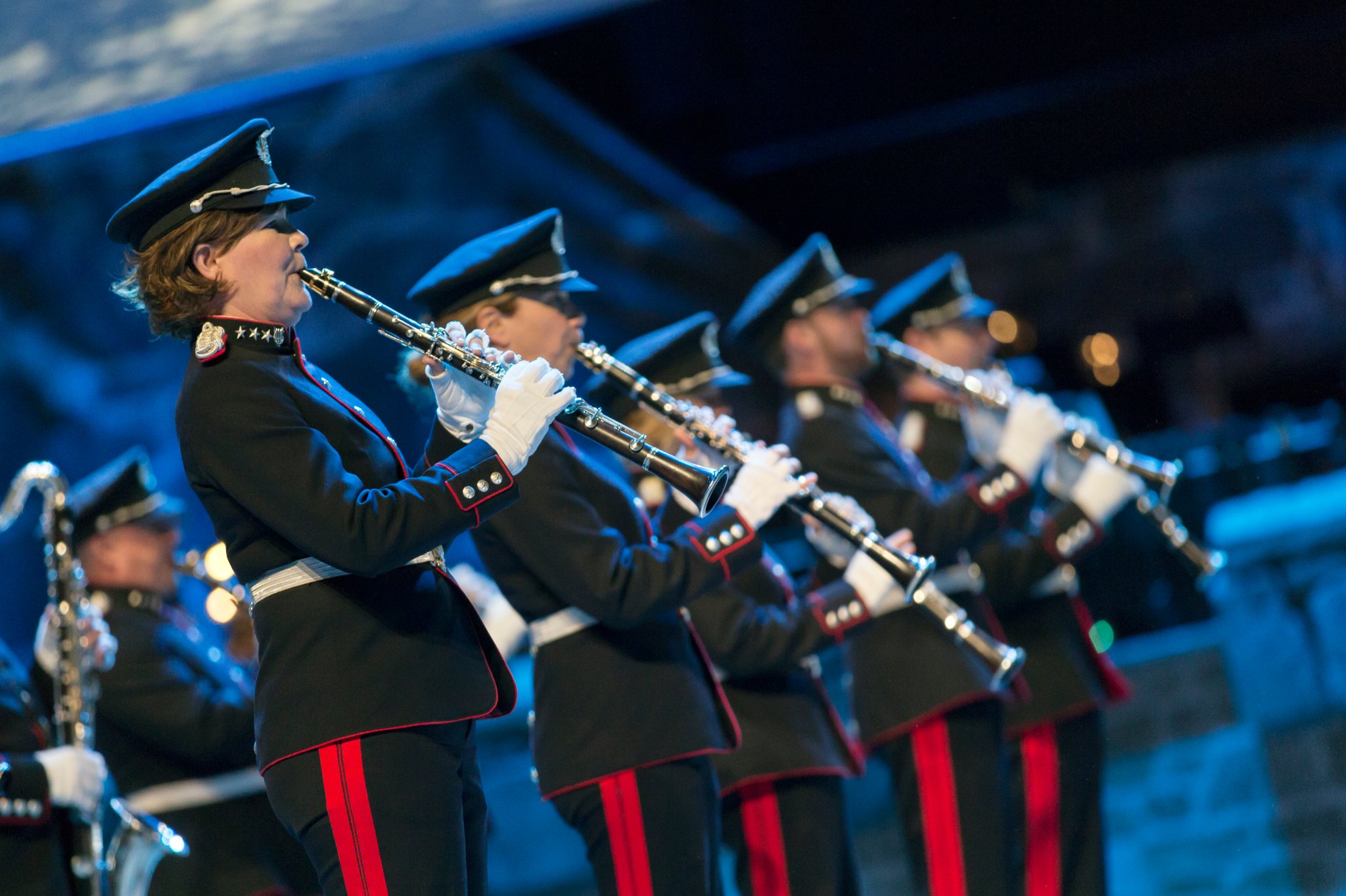 Forsvarets Fellestjenester - Forsvaret